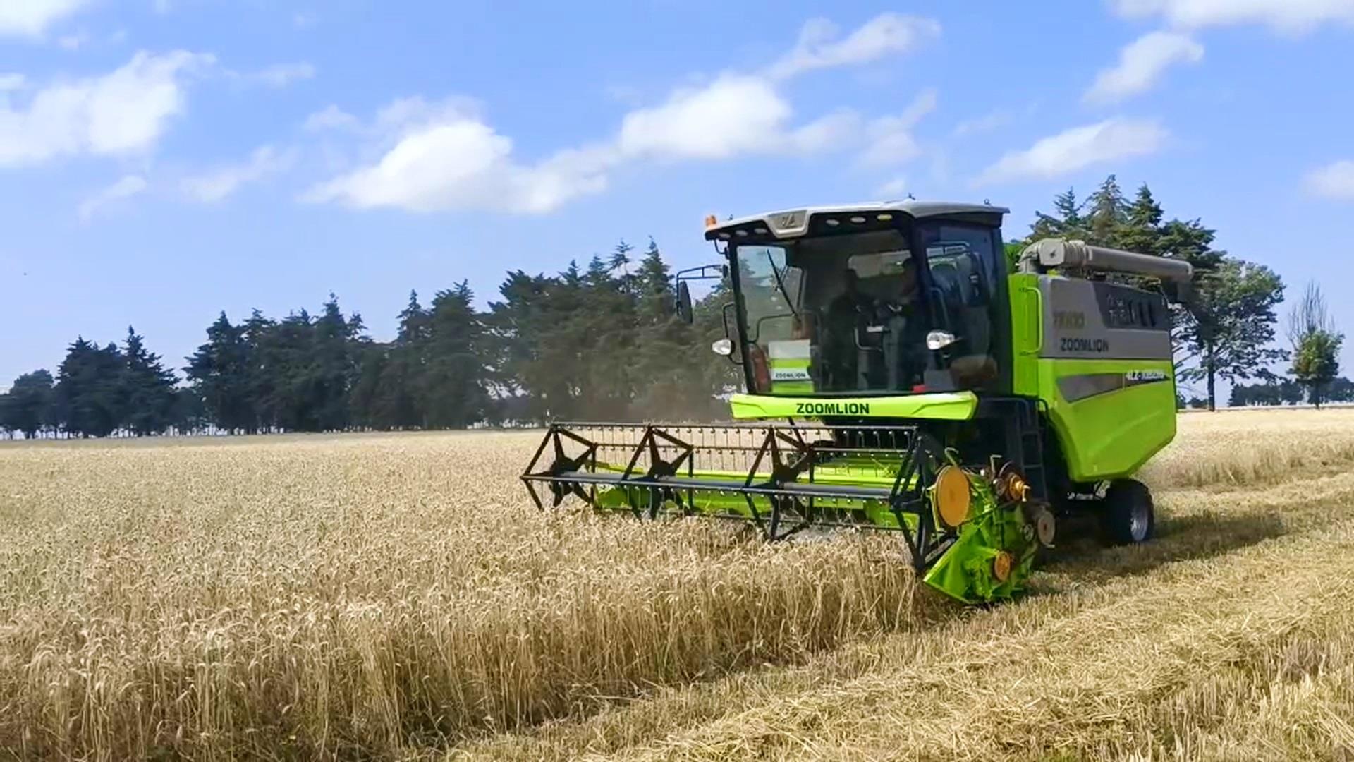 AGzhenren(ʡƽ̨)AGٷվ