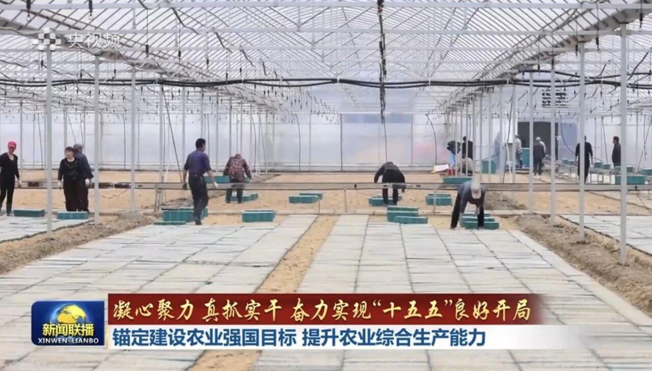 AG��zhenren������(���ʡ�ƽ̨)AG�ٷ���վ